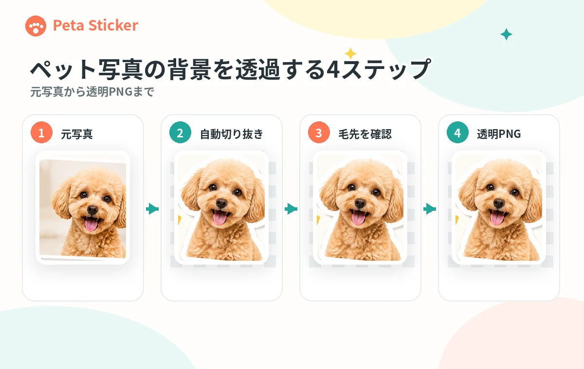 ペット写真を背景透過PNGへ仕上げる4つの段階