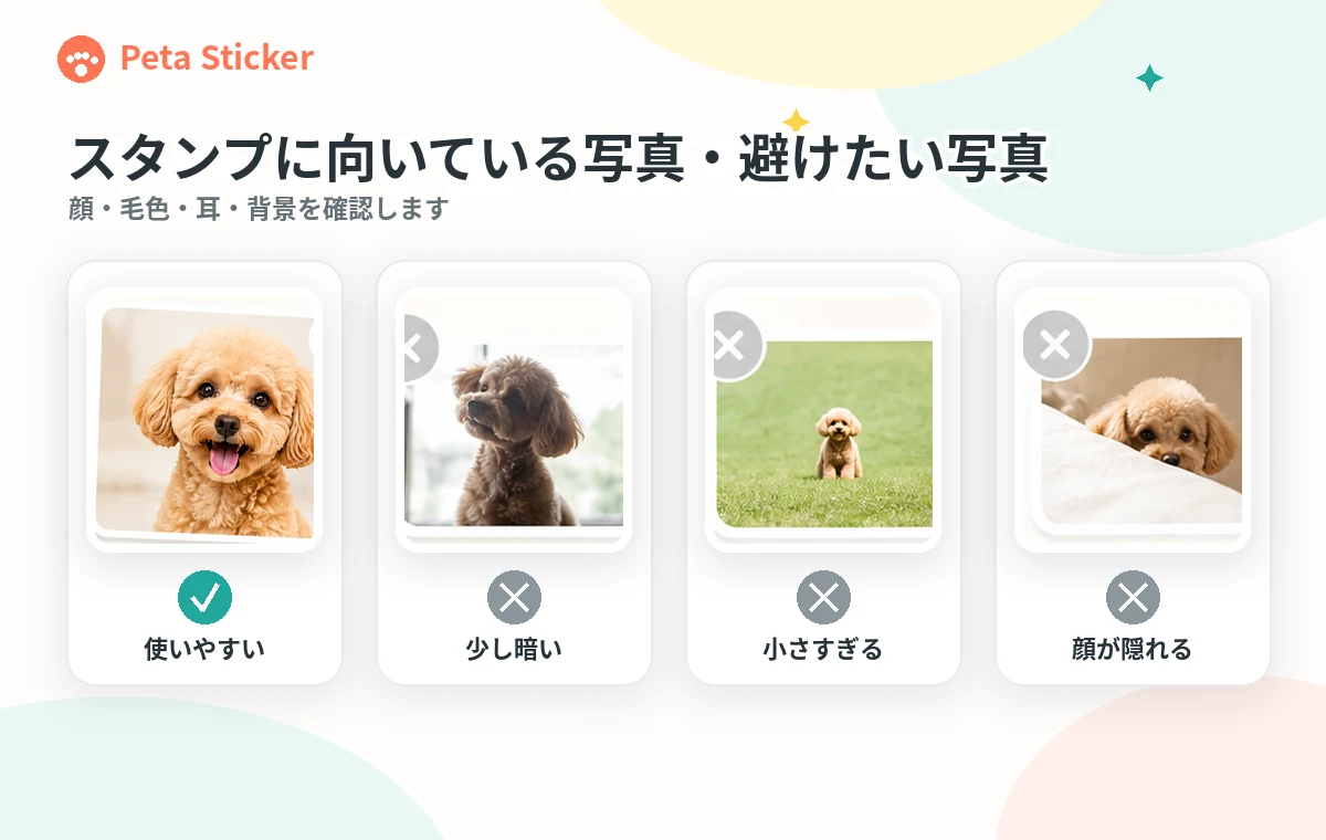 愛猫のスタンプに向く写真と確認が必要な写真